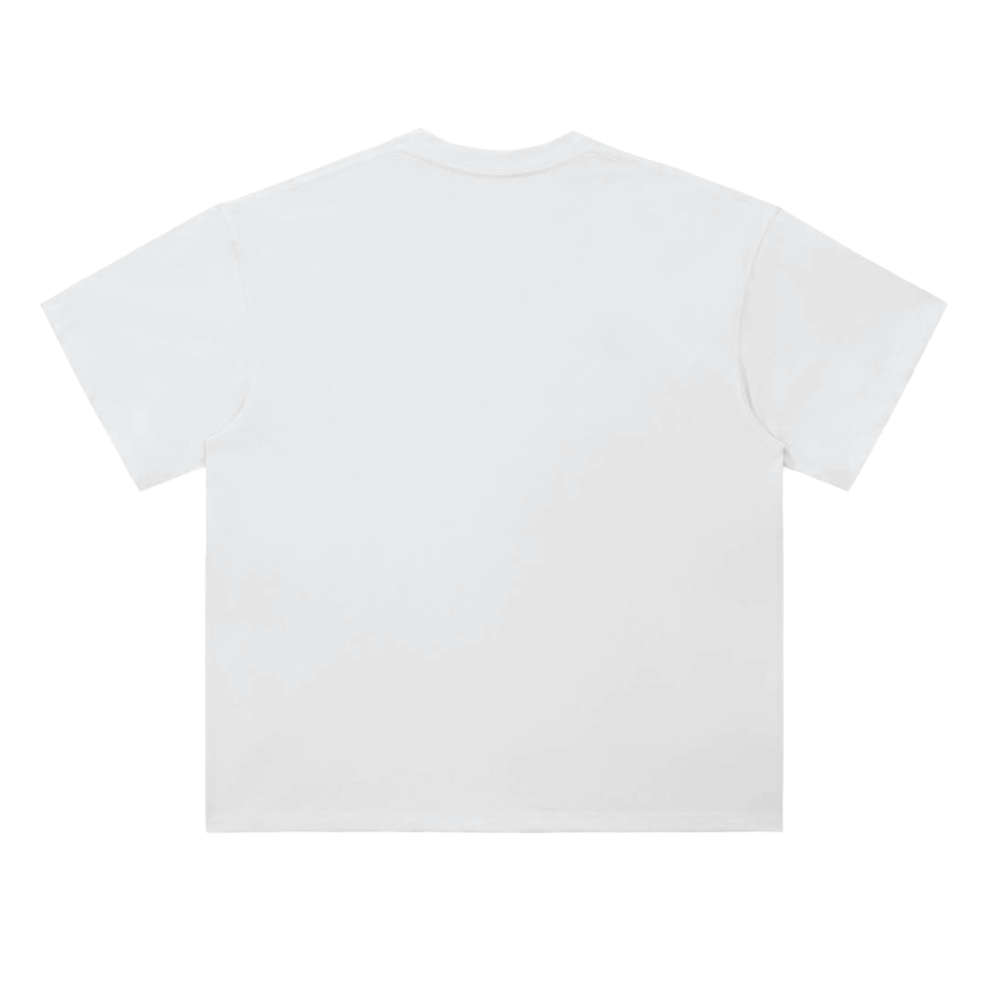 [Bharatiya] Heavyweight 100% Cotton Tee - White
